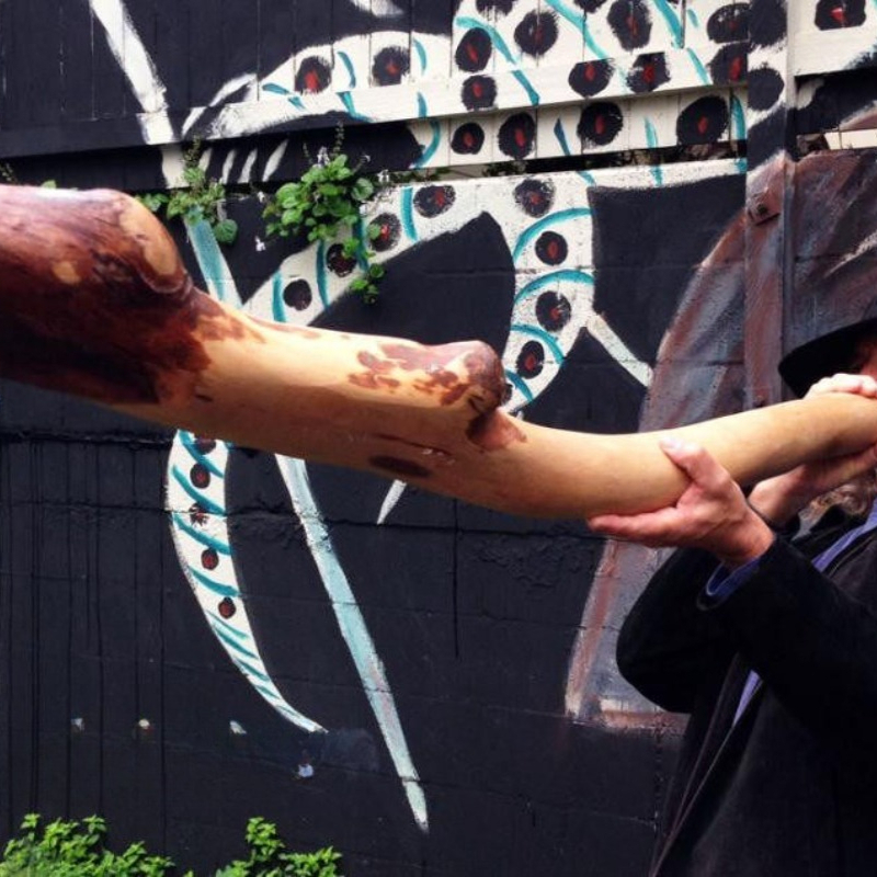 Alat musik impor Australia, di - Musical Instrument Didgeridoo ulasan dan harga