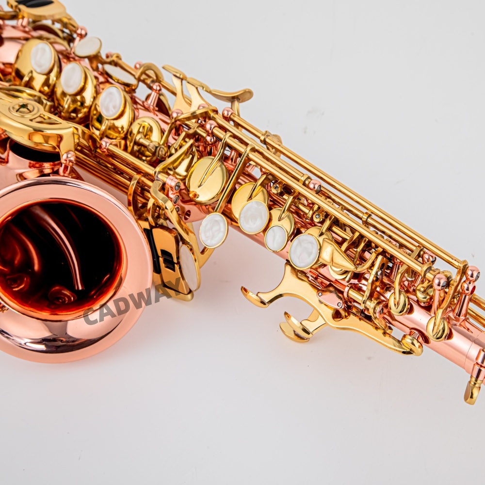 Saksofon Jepang Soprano B flat - Musical Instrument Japan ulasan dan harga
