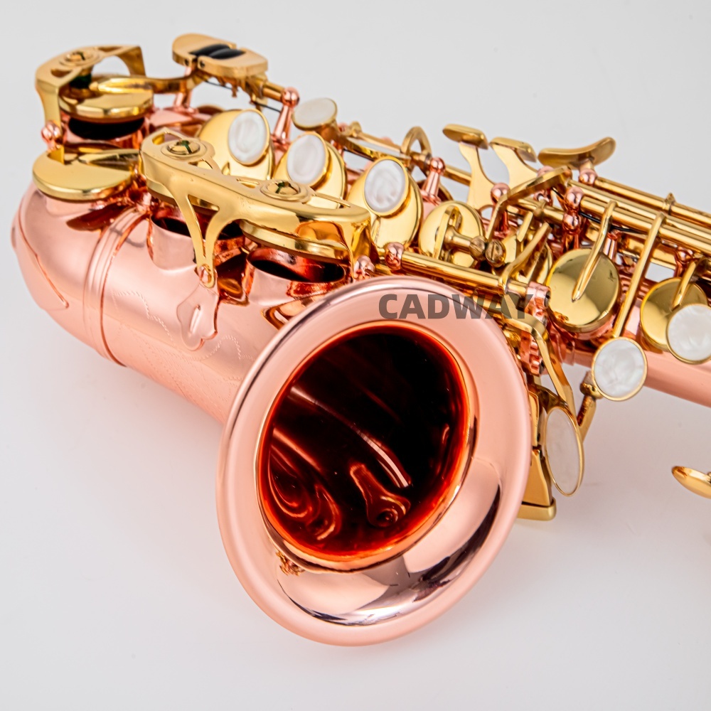 Saksofon Jepang Soprano B flat - Musical Instrument Japan ulasan dan harga